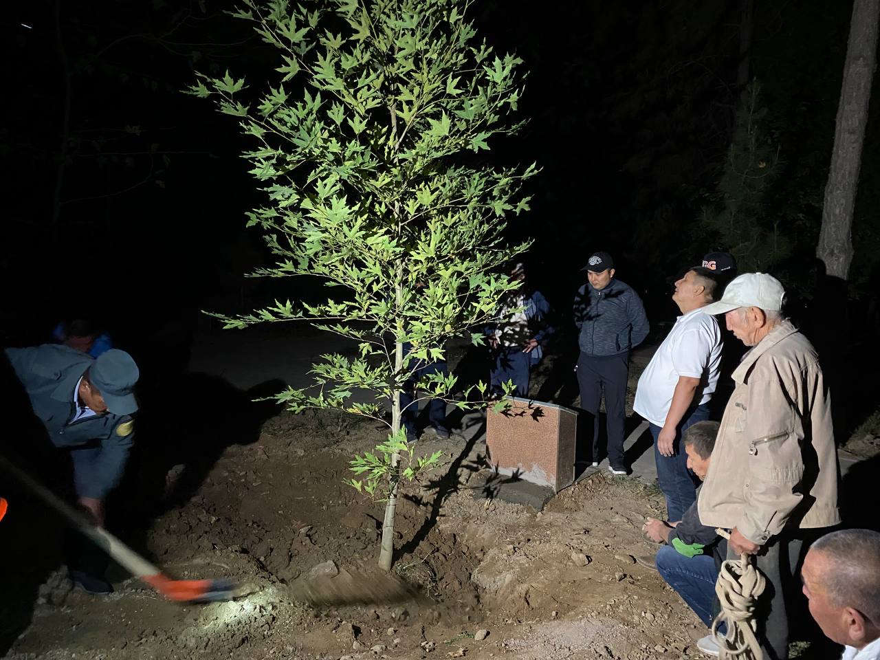 Әкесінің асырап алған қызын жыныстық қатынасқа мәжбүрлегені туралы бейнелерді қараңыз. Оның аузында қылық