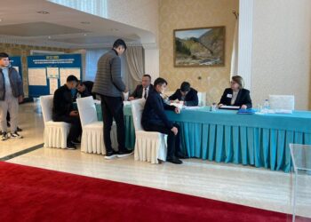 ТҮРКИЯДАҒЫ ҚАЗАҚСТАНДЫҚТАР ПРЕЗИДЕНТ САЙЛАУЫНА БЕЛСЕНДІ ҚАТЫСЫП ЖАТЫР