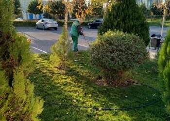 ШЫМКЕНТТЕ КҮЗГІ ТАЗАЛЫҚ ЖҰМЫСТАРЫ ЖАЛҒАСУДА