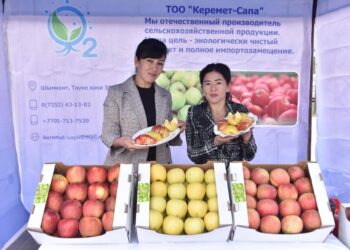 «BEREKE – FEST» ЭТНОФЕСТИВАЛІ ҰЛТТЫҚ ДӘСТҮРДІ ДӘРІПТЕЙДІ