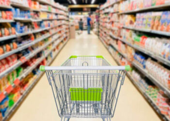 МЕМЛЕКЕТ БАСШЫСЫ: ЕАЭО ЕЛДЕРІНДЕ ТҰТЫНУ БАҒАЛАРЫ ӨСІП БАРАДЫ