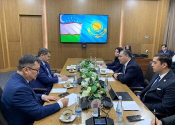 САЯСАТ НҰРБЕК ӨЗБЕКСТАН РЕСПУБЛИКАСЫНЫҢ ИННОВАЦИЯЛЫҚ ДАМУ МИНИСТРІМЕН КЕЗДЕСТІ