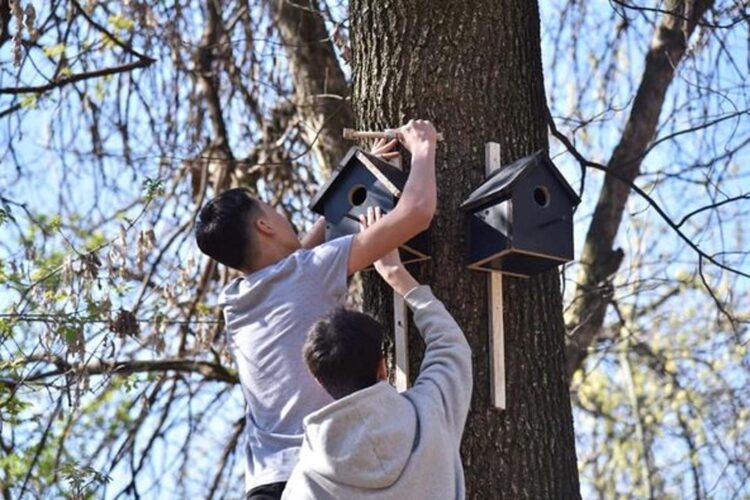 «АҒАШҚА ҰЯ ОРНАТУ» АКЦИЯСЫ ӨТТІ