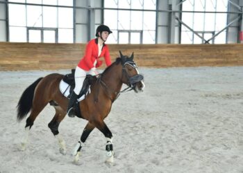 МЕРЕКЕ ҚАРСАҢЫНДА ЖАҢА АТШАБАР ІСКЕ ҚОСЫЛАДЫ