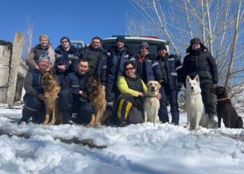 ШҚО ТЖД кинологиялық есептері оқу-жаттығу жиындарына қатысты