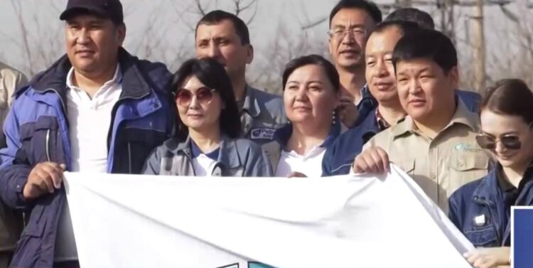 АЯЛЫ АҒАШ — САЯЛЫ