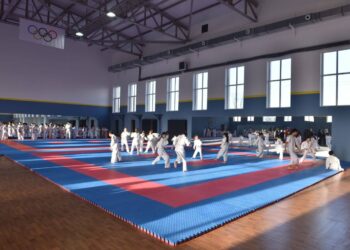 ARTSPORT ЖОБАСЫНА 2,3 млрд ҚАРАЛДЫ