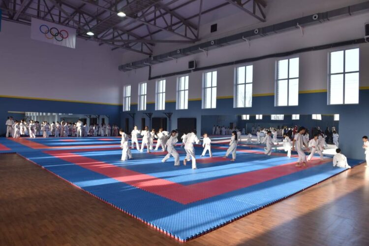 ARTSPORT ЖОБАСЫНА 2,3 млрд ҚАРАЛДЫ