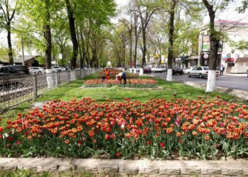 ШЫМКЕНТ – «ЖАСЫЛ» ҚАЛА