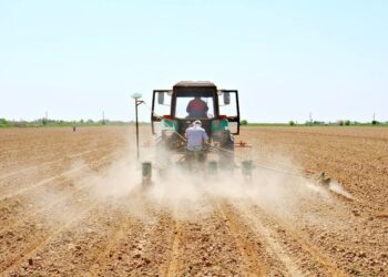 МАҚТААРАЛДА 33 МЫҢ ГЕКТАР ЖЕРГЕ МАҚТА ЕГІЛДІ