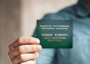 АҢШЫ КУӘЛІГІН ЦИФРЛЫҚ ҚҰЖАТҚА АУЫСТЫРУ