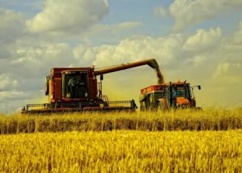 ҚАЗАҚСТАНДА 13 МЛН ГЕКТАР АУМАҚҚА ЕГІН САЛЫНДЫ