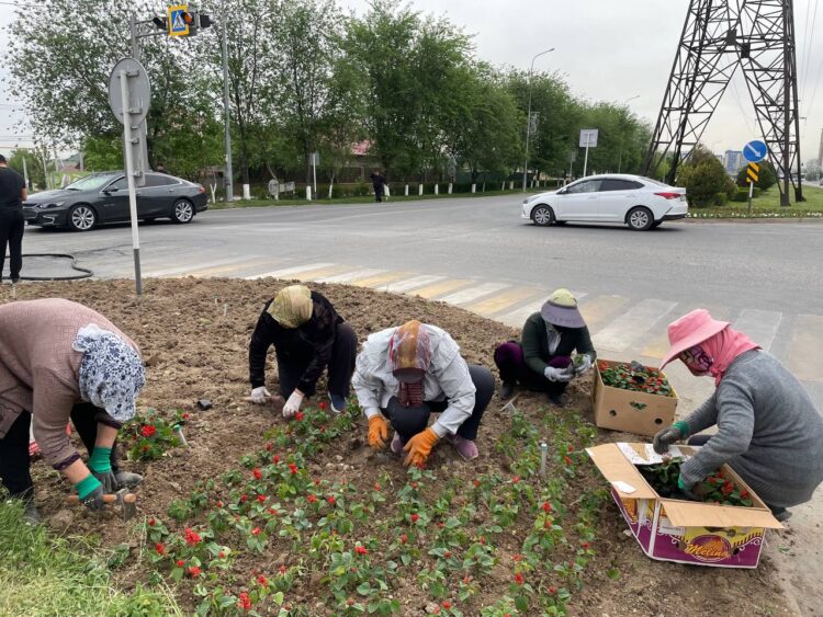 ШАҺАР КӨШЕЛЕРІ ГҮЛДЕНУДЕ