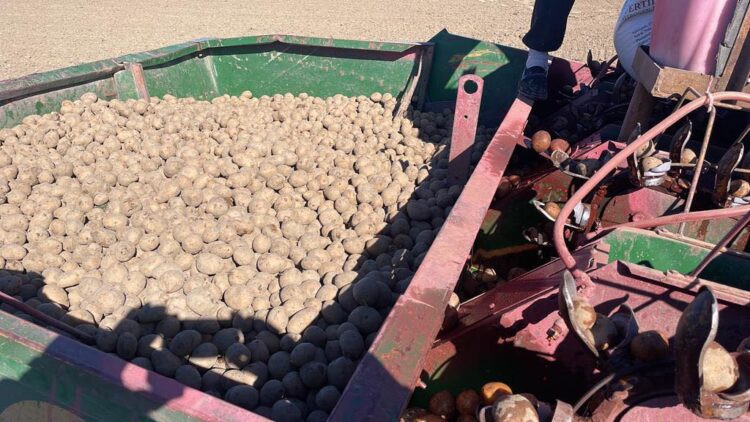 ФОРВАРДТЫҚ КЕЛІСІМ КӨКӨНІС ӨНІМДЕРІН ТҰРАҚТЫ ҰСТАП ТҰР