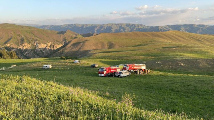 ТАҒЫ БІР ӨРТ ОҚИҒАСЫ. КӨЛСАЙ МАҢЫНДАҒЫ ОРМАННАН ӨРТ ШЫҚТЫ