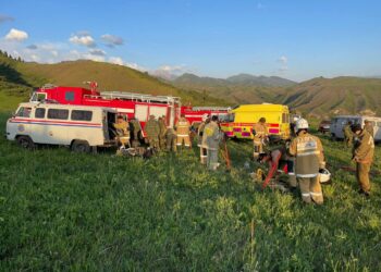 ТАҒЫ БІР ӨРТ ОҚИҒАСЫ. КӨЛСАЙ МАҢЫНДАҒЫ ОРМАННАН ӨРТ ШЫҚТЫ