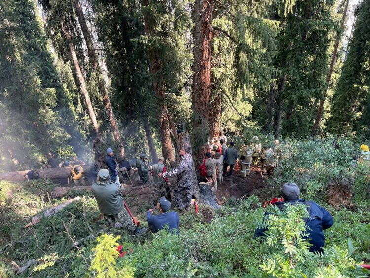 ТАҒЫ БІР ӨРТ ОҚИҒАСЫ. КӨЛСАЙ МАҢЫНДАҒЫ ОРМАННАН ӨРТ ШЫҚТЫ