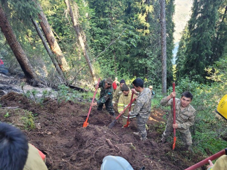 ТАҒЫ БІР ӨРТ ОҚИҒАСЫ. КӨЛСАЙ МАҢЫНДАҒЫ ОРМАННАН ӨРТ ШЫҚТЫ