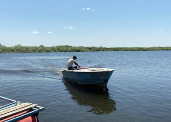 ТҮРКІСТАН ОБЛЫСЫ БАЛЫҚ ӨНДІРУДЕН КӨШ БАСТАП ТҰР