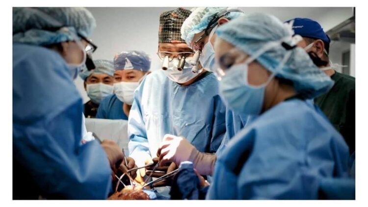 ЖҮРЕК ОТАСЫН ЖАСАУ ЖОЛДАРЫ