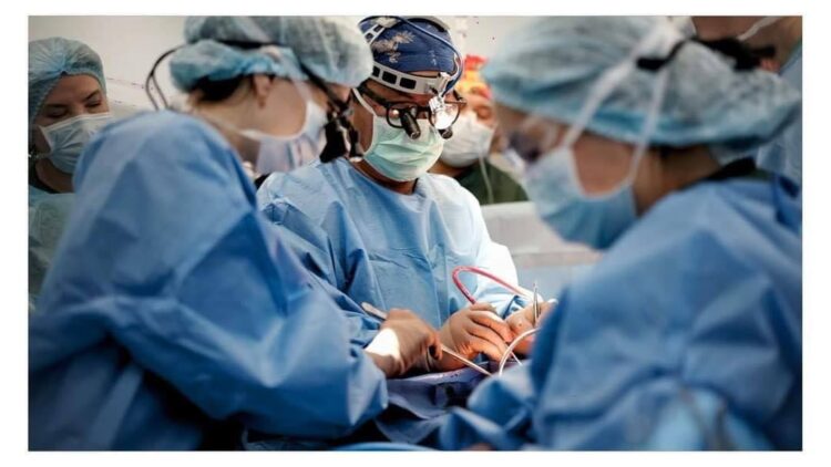 ЖҮРЕК ОТАСЫН ЖАСАУ ЖОЛДАРЫ