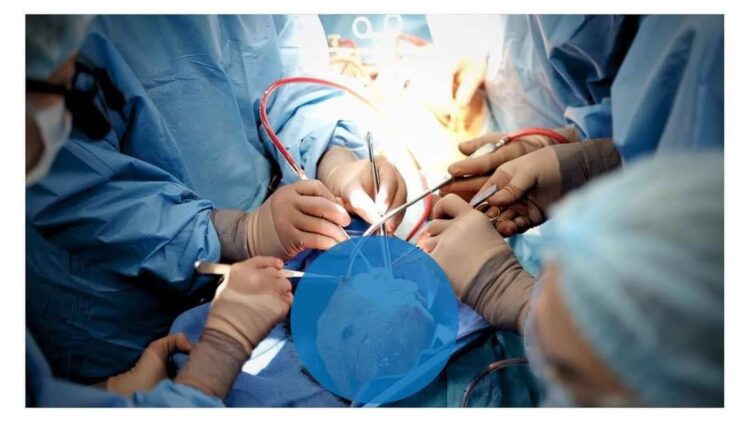 ЖҮРЕК ОТАСЫН ЖАСАУ ЖОЛДАРЫ