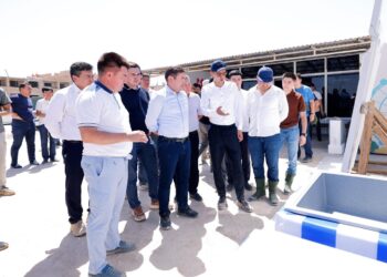 ИНЖЕНЕРЛІК ЖЕЛІЛЕР ТАРТЫЛУДА