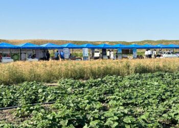 «ДАЛА КҮНІ» СЕМИНАРЫ: КЛАСТЕРЛІК ЖОБАЛАРДЫ ДАМЫТУ БАСТЫ МАҚСАТ