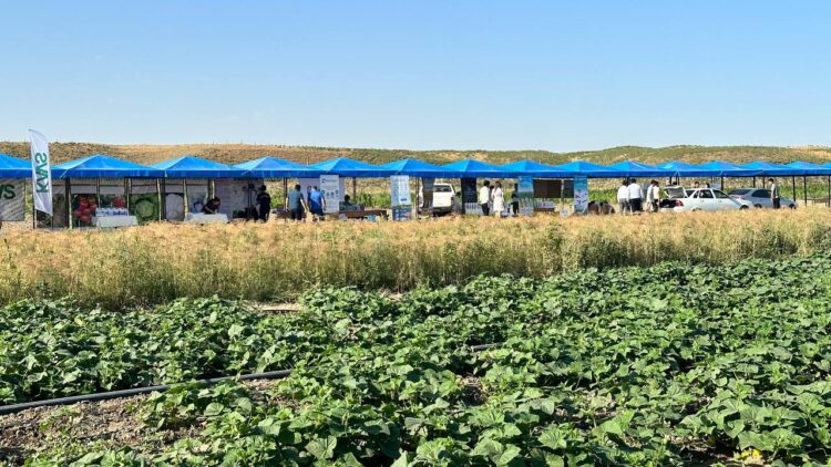 «ДАЛА КҮНІ» СЕМИНАРЫ: КЛАСТЕРЛІК ЖОБАЛАРДЫ ДАМЫТУ БАСТЫ МАҚСАТ