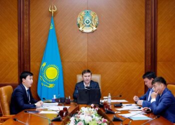 ИНВЕСТИЦИЯЛЫҚ ЖОБАЛАР ЖҮЗЕГЕ АСУДА