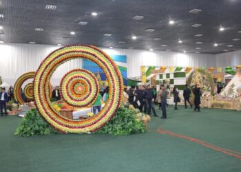 ТАБИҒИ ГАЗБЕН ҚАМТУ – МЕГАПОЛИС ҮШІН МАҢЫЗДЫ