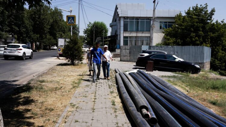 СУ ҚҰБЫРЛАРЫНЫҢ 56 ПАЙЫЗЫ ШІРІГЕН