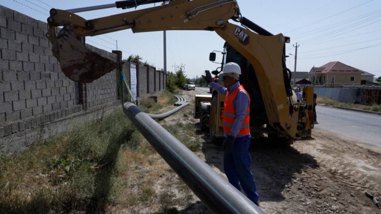 СУ ҚҰБЫРЛАРЫНЫҢ 56 ПАЙЫЗЫ ШІРІГЕН