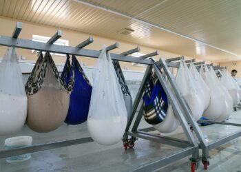 КӘСІПКЕРЛІК — ӘЛЕУМЕТТІК АХУАЛДЫ АРТТЫРАДЫ