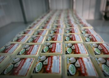 ҚАЙТА ӨҢДЕУШІ КӘСІПОРЫНДАРҒА ҚОЛДАУ БАР