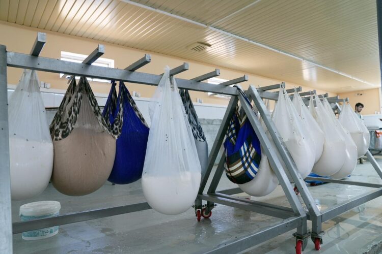 ҚАЙТА ӨҢДЕУШІ КӘСІПОРЫНДАРҒА ҚОЛДАУ БАР