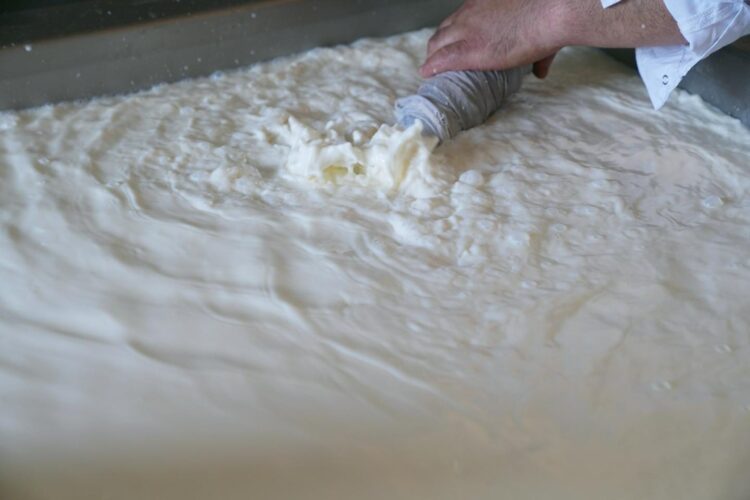 ҚАЙТА ӨҢДЕУШІ КӘСІПОРЫНДАРҒА ҚОЛДАУ БАР