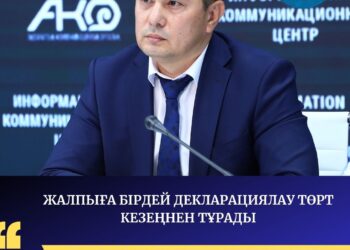 ЖАЛПЫҒА БІРДЕЙ ДЕКЛАРАЦИЯЛАУ ҚАЛАЙ ЖҮЗЕГЕ АСАДЫ?