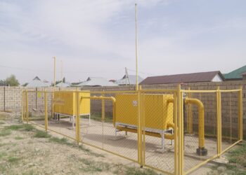 БОЛАШАҒЫ ЖАРҚЫН БОЗАРЫҚ