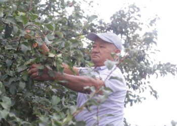 ЕҢБЕКТІҢ ЖЕМІСІН ЖЫЛЫЖАЙДАН ТАПҚАН