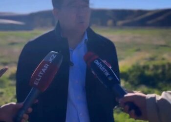 АУЫЛ ШАРУАШЫЛЫҒЫНДАҒЫ ІЛКІМДІ ІСТЕР