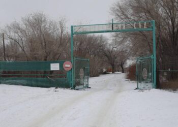 ҰЛЫТАУ ОБЛЫСЫНЫҢ ОРТАЛЫҒЫНДА ЖАҢА БОТАНИКАЛЫҚ БАҚ ҚҰРЫЛАДЫ