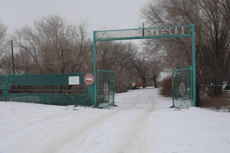 ҰЛЫТАУ ОБЛЫСЫНЫҢ ОРТАЛЫҒЫНДА ЖАҢА БОТАНИКАЛЫҚ БАҚ ҚҰРЫЛАДЫ