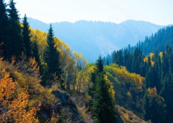 АЛМАТЫ ОБЛЫСЫНДА ТУРИЗМДІ ДАМЫТУҒА 58 МЛРД ТЕҢГЕ ИНВЕСТИЦИЯ ТАРТЫЛАДЫ