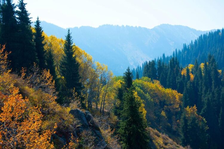 АЛМАТЫ ОБЛЫСЫНДА ТУРИЗМДІ ДАМЫТУҒА 58 МЛРД ТЕҢГЕ ИНВЕСТИЦИЯ ТАРТЫЛАДЫ