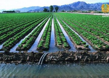 ҚАЗАҚСТАННЫҢ ОҢТҮСТІГІНДЕГІ ШАРУАЛАР АРЗАН БАҒАДАҒЫ СУАРМАЛЫ СУМЕН ҚАМТАМАСЫЗ ЕТІЛЕДІ