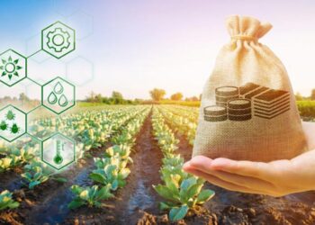 «АУЫЛ АМАНАТЫ» БАҒДАРЛАМАСЫ БОЙЫНША МИКРОКРЕДИТТЕУДІҢ АҚПАРАТТЫҚ ЖҮЙЕСІ ӘЗІРЛЕНДІ