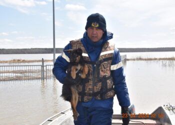СОЛТҮСТІК ҚАЗАҚСТАН ОБЛЫСЫНДАҒЫ СУ ТАСҚЫНЫ ТУРАЛЫ ТӘУЛІКТІК АҚПАРАТ