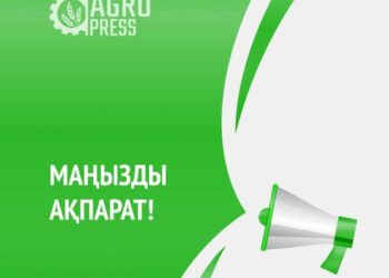 ЕЛІМІЗГЕ ТАУЫҚ ЖҰМЫРТҚАЛАРЫН АВТОМОБИЛЬ КӨЛІГІМЕН ӘКЕЛУГЕ УАҚЫТША ТЫЙЫМ САЛЫНДЫ