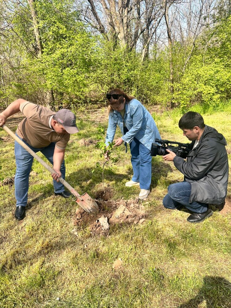 ЖУРНАЛИСТЕР ДЕНДРОСАЯБАҚҚА КӨШЕТ ЕКТІ